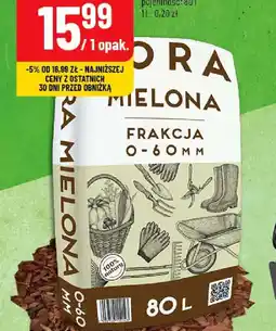 Polomarket Kora mielona oferta