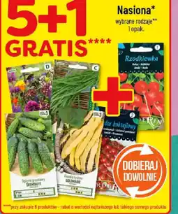 Polomarket Nasiona oferta