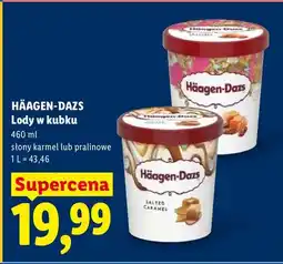 Lidl Lody w kubku słony karmel oferta