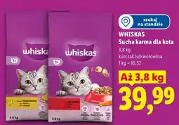 Lidl Sucha karma dla kota kurczak oferta
