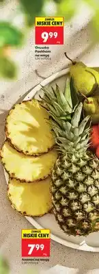 Biedronka Gruszka Packham na wagę oferta