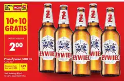 Biedronka Piwo Żywiec oferta