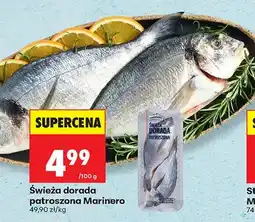 Biedronka Świeża dorada patroszona oferta