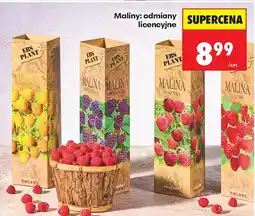 Biedronka Maliny odmiany licencyjne oferta