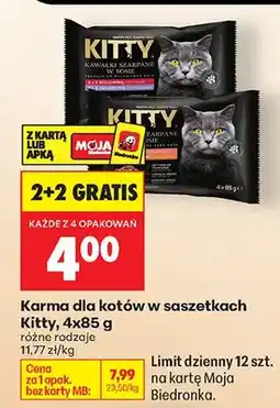 Biedronka Karma dla kotów w saszetkach różne rodzaje oferta