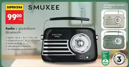 Biedronka Radio z głośnikiem Bluetooth oferta