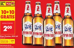 Biedronka Piwo Żywiec oferta