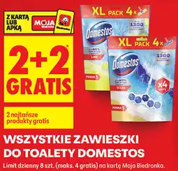 Biedronka WSZYSTKIE ZAWIESZKI DO TOALETY DOMESTOS oferta