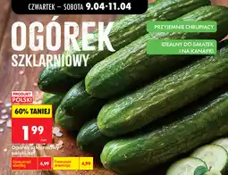 Biedronka Ogórek szklarniowy polski, szt oferta
