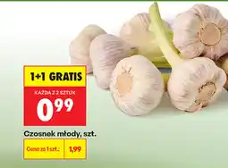 Biedronka Czosnek młody, szt oferta