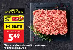 Biedronka Mięso mielone z łopatki wieprzowej Kraina Mięs oferta