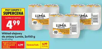 Biedronka Wkład olejowy do zniczy Lumia oferta
