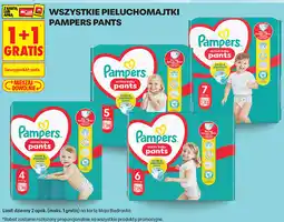 Biedronka WSZYSTKIE PIELUCHOMAJTKI PAMPERS PANTS oferta
