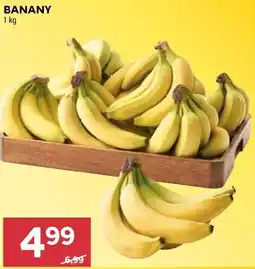 Stokrotka BANANY oferta