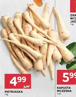 Stokrotka PIETRUSZKA oferta