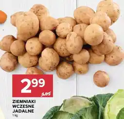 Stokrotka ZIEMNIAKI WCZESNE JADALNE oferta