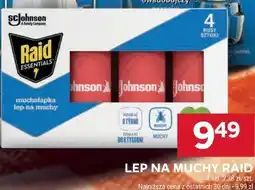 Stokrotka Lep na muchy Raid oferta