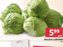 Stokrotka Sałata lodowa oferta