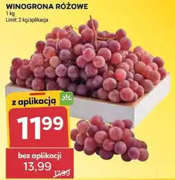 Stokrotka WINOGRONA RÓŻOWE oferta