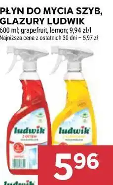 Stokrotka PŁYN DO MYCIA SZYB, GLAZURY LUDWIK oferta