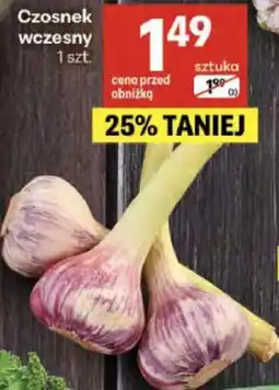 Delikatesy Centrum Czosnek wczesny 1 szt oferta