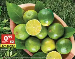 Delikatesy Centrum Limonka 1 szt oferta