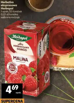 Delikatesy Centrum Herbatka ekspresowa Herbapol 1 opak./20 torebek oferta