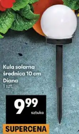 Delikatesy Centrum Kula solarna średnica 10 cm Diana 1 szt oferta