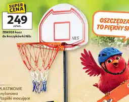 Auchan ZDK018 kosz do koszykówki Nils oferta