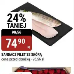 bi1 Sandacz filet ze skórą oferta
