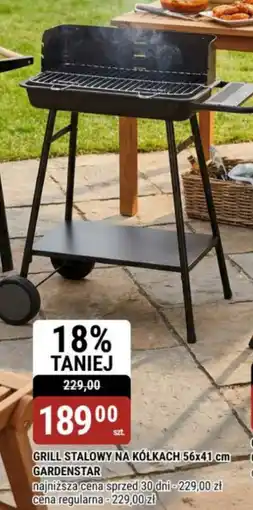 bi1 Grill stalowy Gardenstar oferta