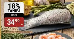 bi1 Amur Tusza oferta