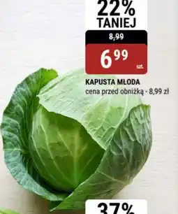 bi1 Kapusta młoda oferta