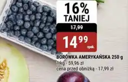 bi1 Borówka amerykańska oferta