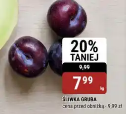 bi1 Sliwka Gruba oferta
