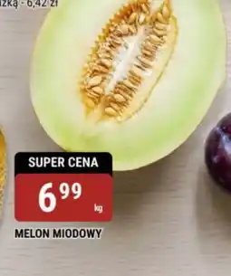 bi1 Melon miodowy oferta