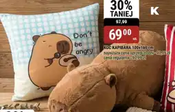 bi1 Koc Kapibara oferta