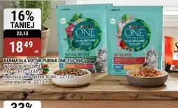 bi1 Purina One karma dla kotów oferta