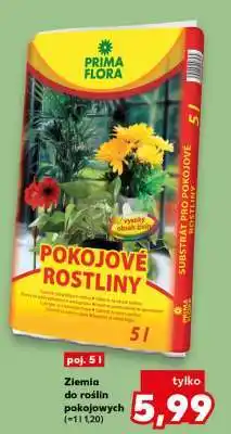 Kaufland Ziemia do roślin pokojowych oferta