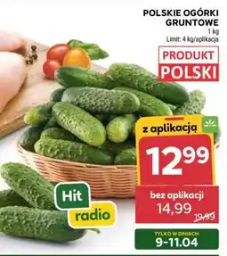 Stokrotka Market Polskie ogórki gruntowe oferta