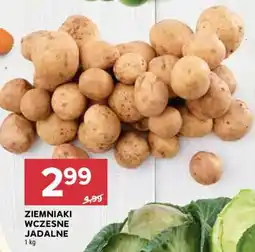 Stokrotka Market Ziemniaki wczesne jadalne oferta