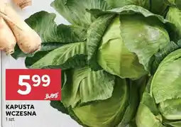 Stokrotka Market Kapusta wczesna oferta