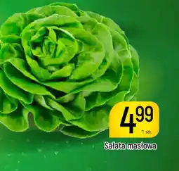 Delikatesy Piotruś Pan Sałata masłowa oferta