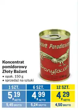 Makro Koncentrat pomidorowy Złoty Bażant oferta