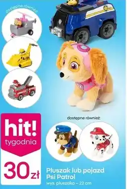 Pepco Pojazd Psi Patrol oferta