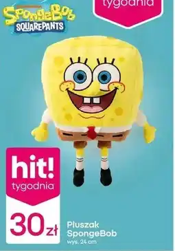 Pepco Pluszak Hit oferta