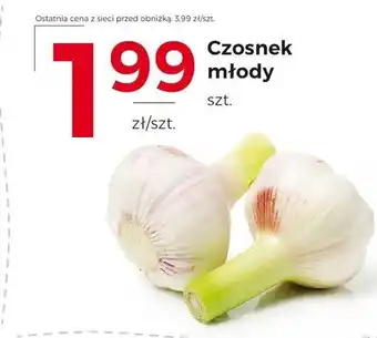 Frac Czosnek oferta