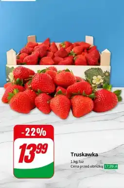 Dino Truskawka luz oferta