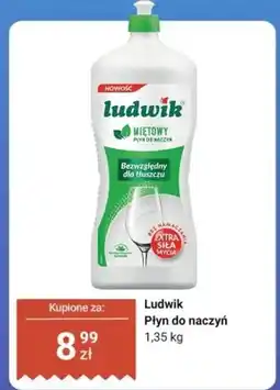 Dino Płyn do naczyń oferta