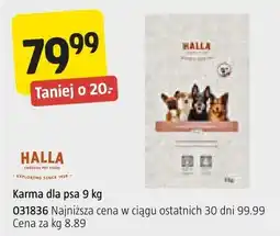 Jula Karma dla psa oferta